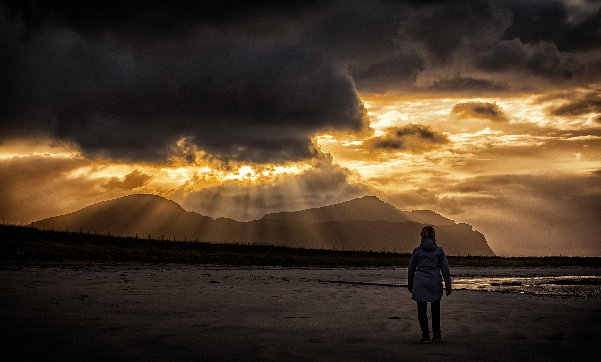 Arctic vista with Arctic Exhibition logo