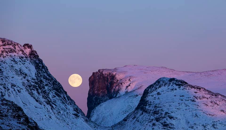 Arctic vista with Arctic Exhibition logo