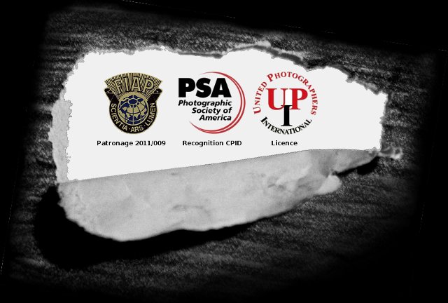 FIAP: 2011/009, UPI: Licence, PSA: Recognition CPID