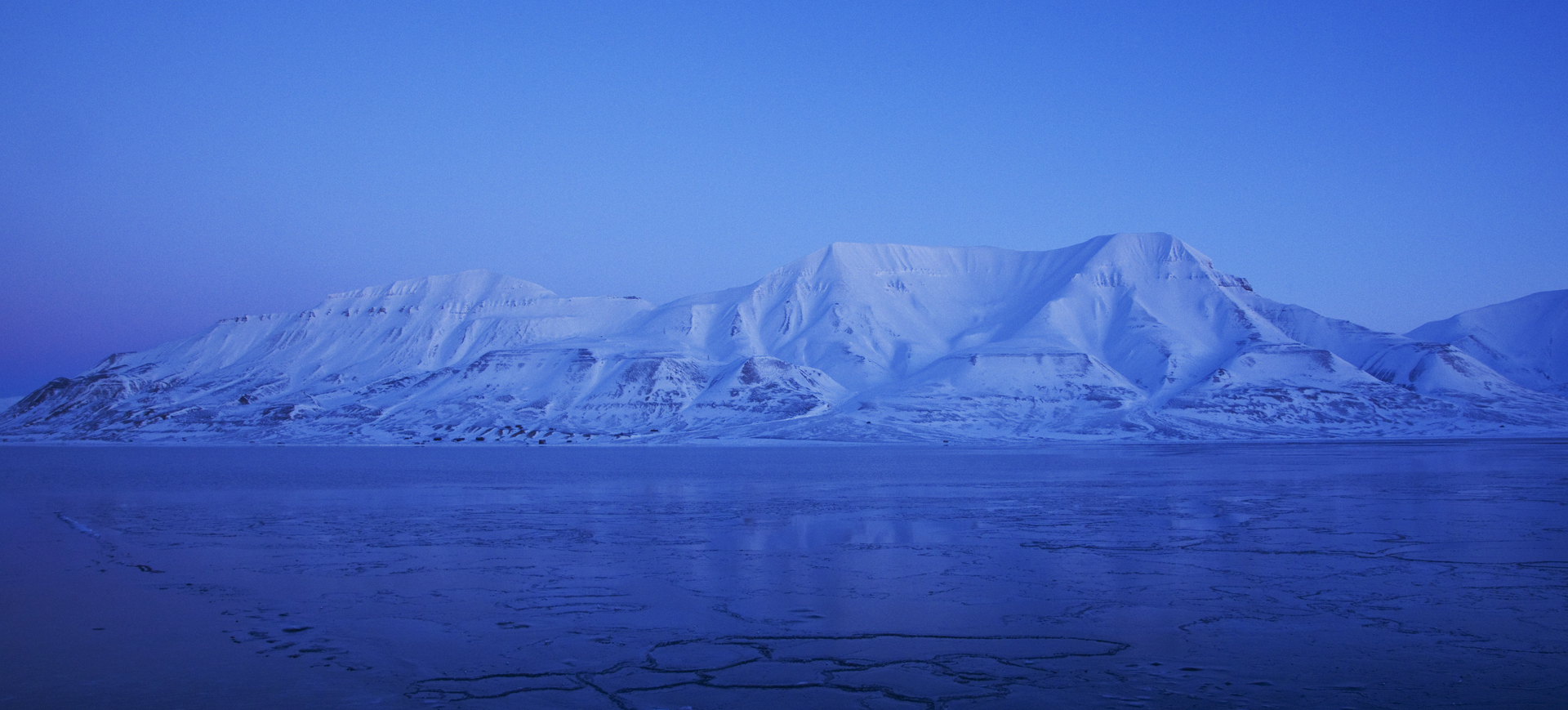 Arctic vista with Arctic Exhibition logo