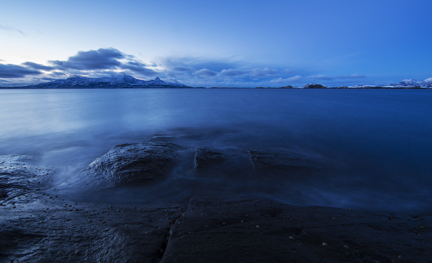 Arctic vista with Arctic Exhibition logo