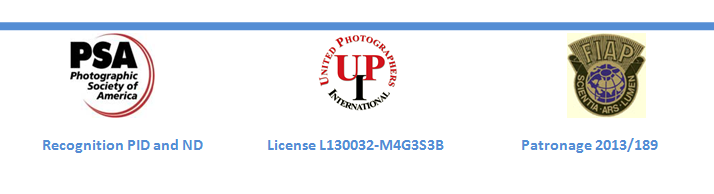FIAP: 2013/189, UPI: Licence L130032-M4G3S4B, PSA: Recognition PID and ND